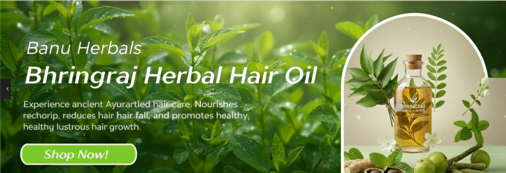 Gemini_Generated_Image_4zbbip4zbbip4zbb